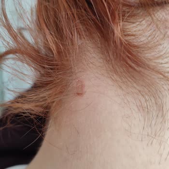 Palette Yara Yaptı! Son Kullanma Tarihi Yazmıyor!