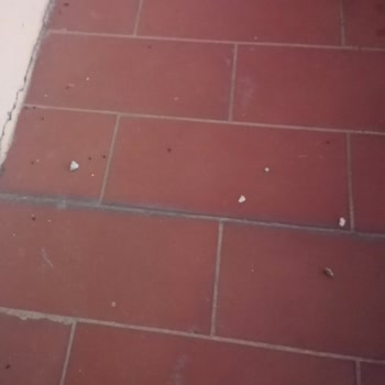 Kappatur İtalya Turunda Yaşanan Konaklama Sorunları Ve Mağduriyet