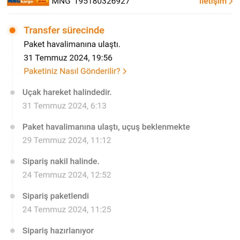 Temu Ve Gümrük Sorunu