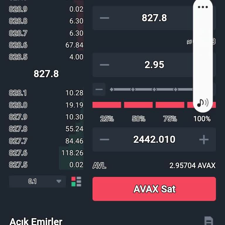 Bitay Borsası Param Yatmıyorlar