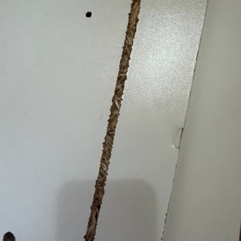 A101 Sesimi Duyan Yetkili Aranıyor