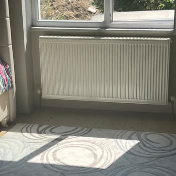 Kocaeli Büyükşehir Belediyesi Evimi Yüzlerce Arı Bastığı Halde Belediye Yardımcı Olmuyor