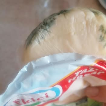 Ekici Peynir Ekici Taze Kaşar Peyniri Neden Küfleniyor?