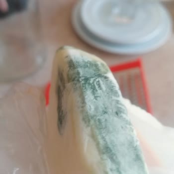 Ekici Peynir Ekici Taze Kaşar Peyniri Neden Küfleniyor?