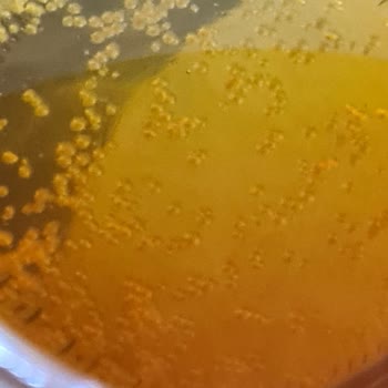 AOÇ Balında Görülen Yabancı Maddeler