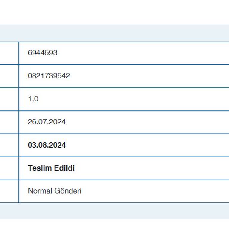 Borusan Lojistik Kargom Teslim Edilmedi, Ürünüm Yok