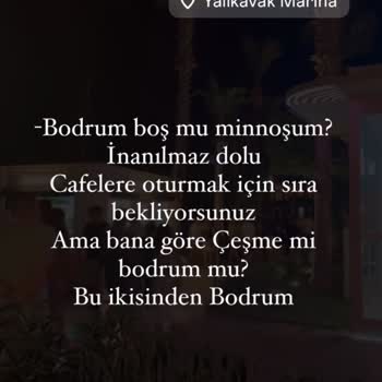 SecoVet Kedi Maması Siparişimde Yaşadığım Sorunlar