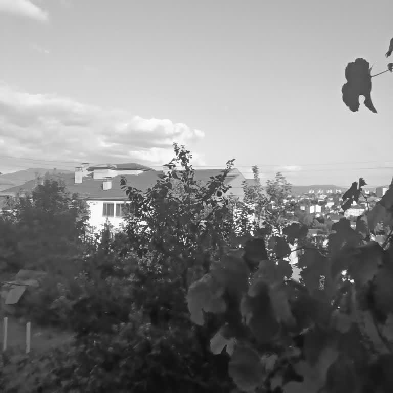 Tecno Mobile Flaş Işığı Sönmüyor