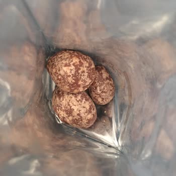 Patiswiss Çikolata Renk Değişimi!?