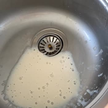 Pınar Et ve Süt Proteinli Süt Kalitesi Sorunu
