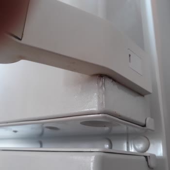 Bosch Termoteknoloji Buzdolabı Kapağı Kabarma Ve Pas Tutma