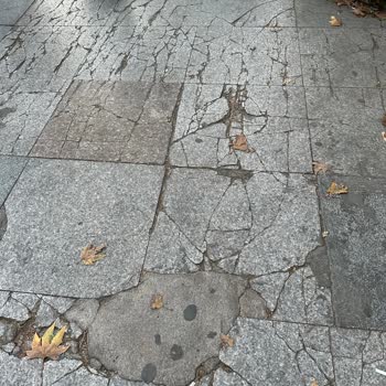 Kadıköy Belediyesi Kirli Ve Pis