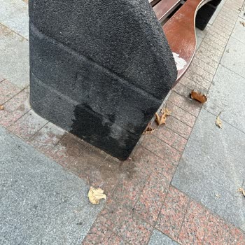 Kadıköy Belediyesi Kirli Ve Pis