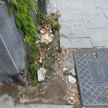 Kadıköy Belediyesi Kirli Ve Pis