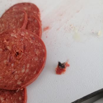 Anpa Gross Market Sağlıksız Hijyen Olmayan Ürün