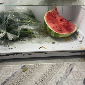 Vestel Buzdolabı Paslanması Şikayeti