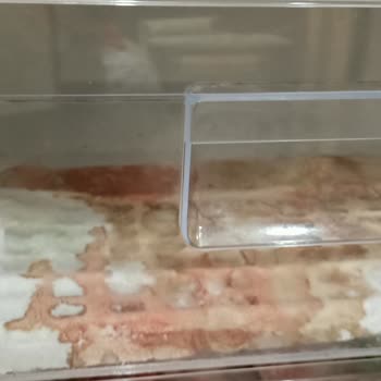 Altus Derin Dondurucu Soğutmuyor