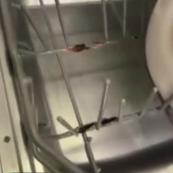 Franke Bulaşık Makinesi Alt Sepet Sorunu!