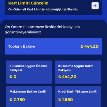 Fenerbahçe Taraftar Kart Fener Bahçe Kart Bakiye Sorunu