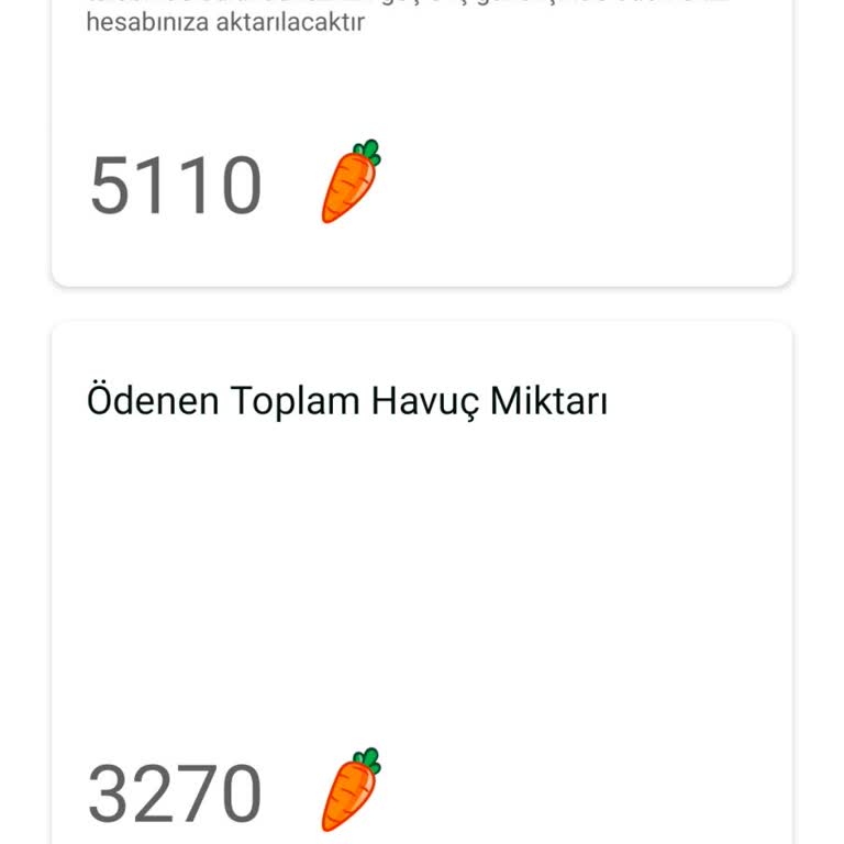 Havucum Uygulaması İletişim Sorunu