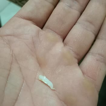 Domino's Pizzanın İçinden Çıkan Sert Plastik Malzeme