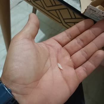 Domino's Pizzanın İçinden Çıkan Sert Plastik Malzeme