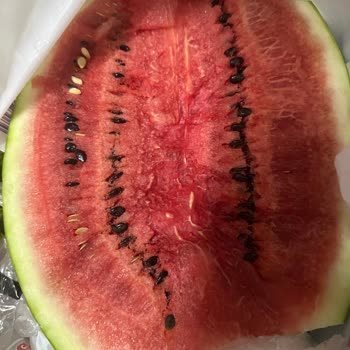 Getir Teslimat Sonrası Çürük Ürün Ve Yetersiz Müşteri Hizmeti