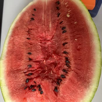 Getir Teslimat Sonrası Çürük Ürün Ve Yetersiz Müşteri Hizmeti