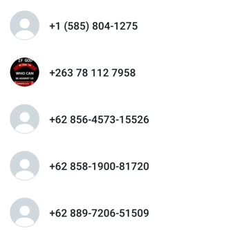 WhatsApp Numara Paylaşımı