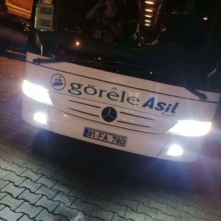 Görele Seyahatin Usulsüzlüğü