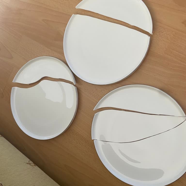 Karaca Züccaciye Karaca Novamall Manavgat Kırık Parça Temini