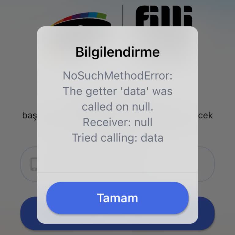 Filli Ustalara Giriş Yapamıyorum