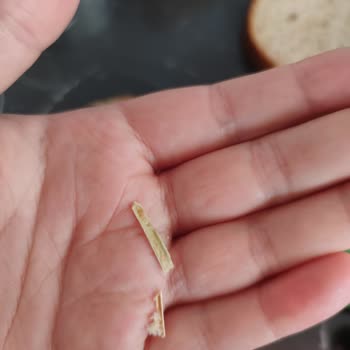 BİM'den Aldığım Ekmekten Acayip Şeyler Çıktı