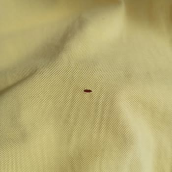 U. S Polo Assn Defolu Ürün Satıyor