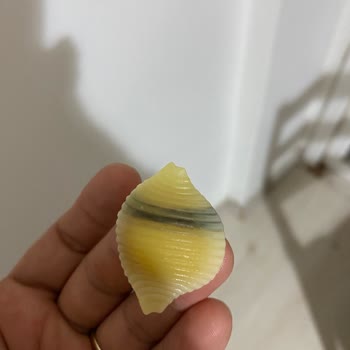 Mutlu Makarnanın İçindeki Siyahlık