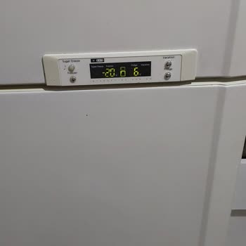 Samsung RT58EDEW A Sınıfı Buzdolabı Sorunu