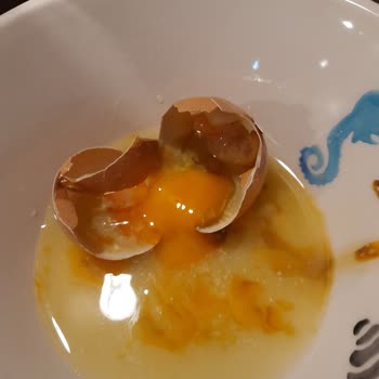 Happy Life Organik Happy Life Çürük Organik Yumurta Hakkında