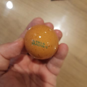 Happy Life Organik Happy Life Çürük Organik Yumurta Hakkında