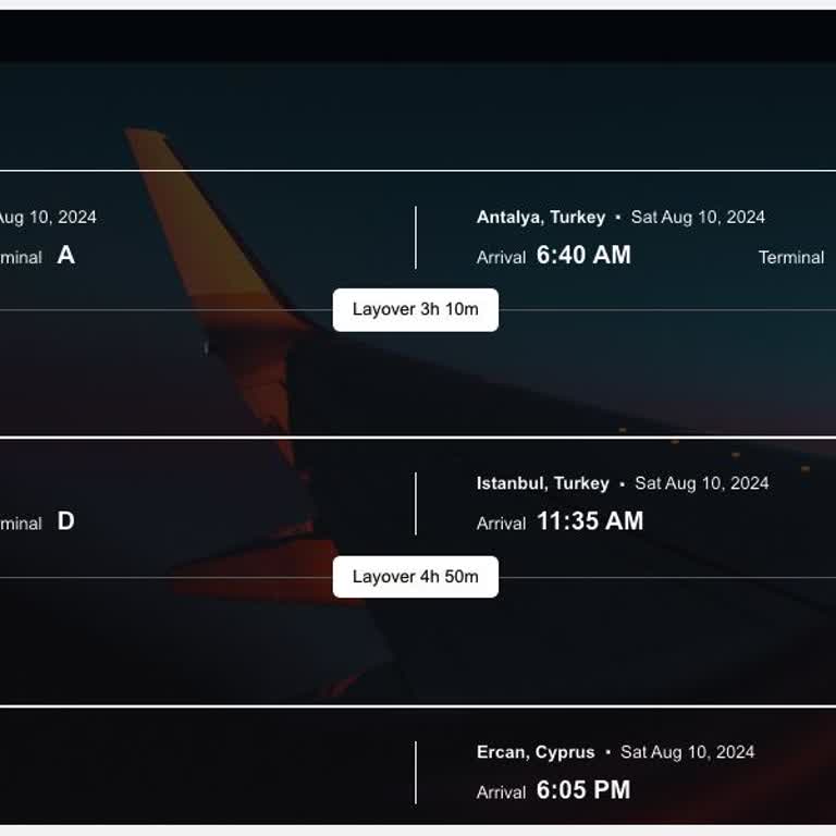 Turkish Airlines Будьте Осторожны Граждане! Турецкие Авиалинии взяли оплату за багаж