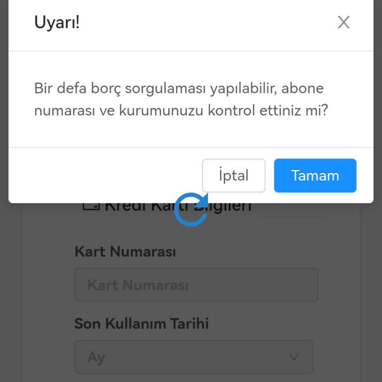 E-Devlet (Turkiye.gov.tr) Elektrik Faturasını Ödeyemiyorum