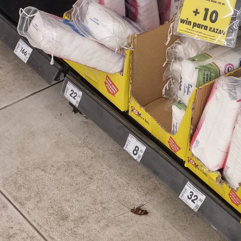 Şok Marketler Şok Markette Hijyenik Olmayan Görüntü