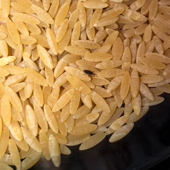 Migros Markalı Ürünlerde Kalite Sorunları