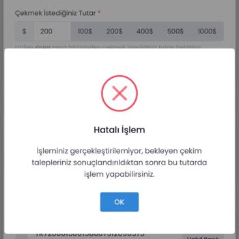 Excel GLS Yazılım Bilişim Ticaret Şirketinde Para Çekme Sorunu