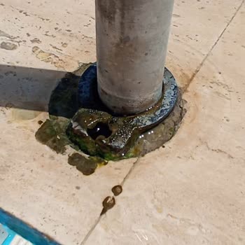 Aqua Atlantis Kirli Ve Yosunlu Havuzlar, Kupkuru Kaydıraklar Ve Paslı Demirler