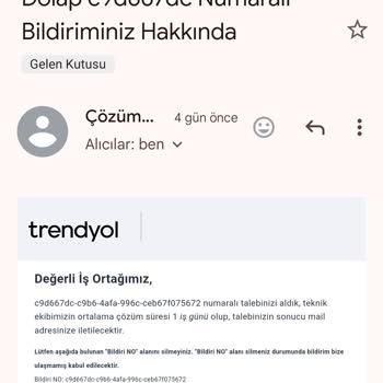 Dolap Kargo Kampanyasını Kötüye Kullanma Problemi