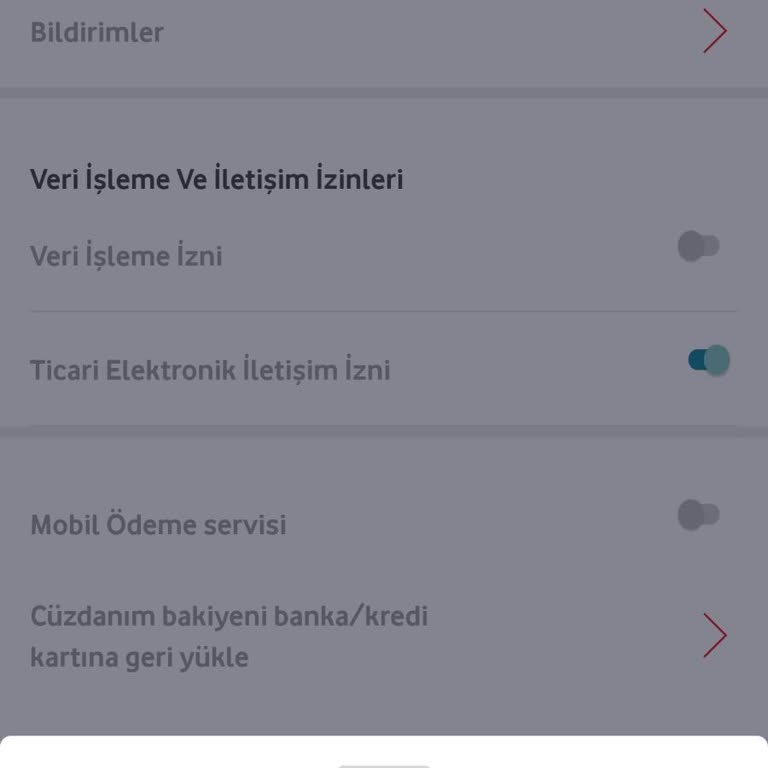 Vodafone Pay Hesabımda Yaşadığım Sorun