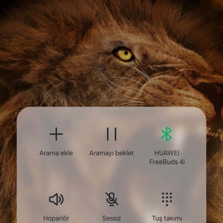 Digiturk Üyelik İptal Etmiyor