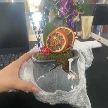 Osevio.com Tam Bir Pişmanlık