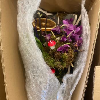 Osevio.com Tam Bir Pişmanlık