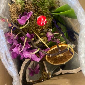 Osevio.com Tam Bir Pişmanlık